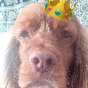 Meet your Posher, Mamarissa